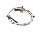 SL300970252 Carpigiani Full Lid Wiring Gbcold
