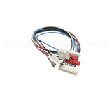 SL320000295 Carpigiani Board Ev Probe Wiring