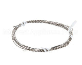 SN-38110 Alto Shaam Sensor,100 Ohm,110 Wire,With
