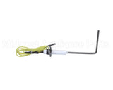 SN-48141R Alto Shaam Service Kit,Flame Sensor