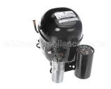 SP-5529 Hoshizaki Compressor