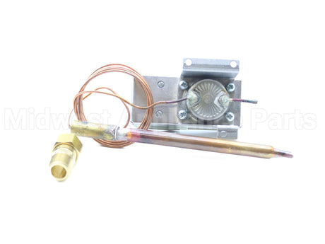SP11806 Rheem-Ruud High Limit-Commercial Electric