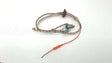 SP20127 Rheem-Ruud Ng Pilot Assembly
