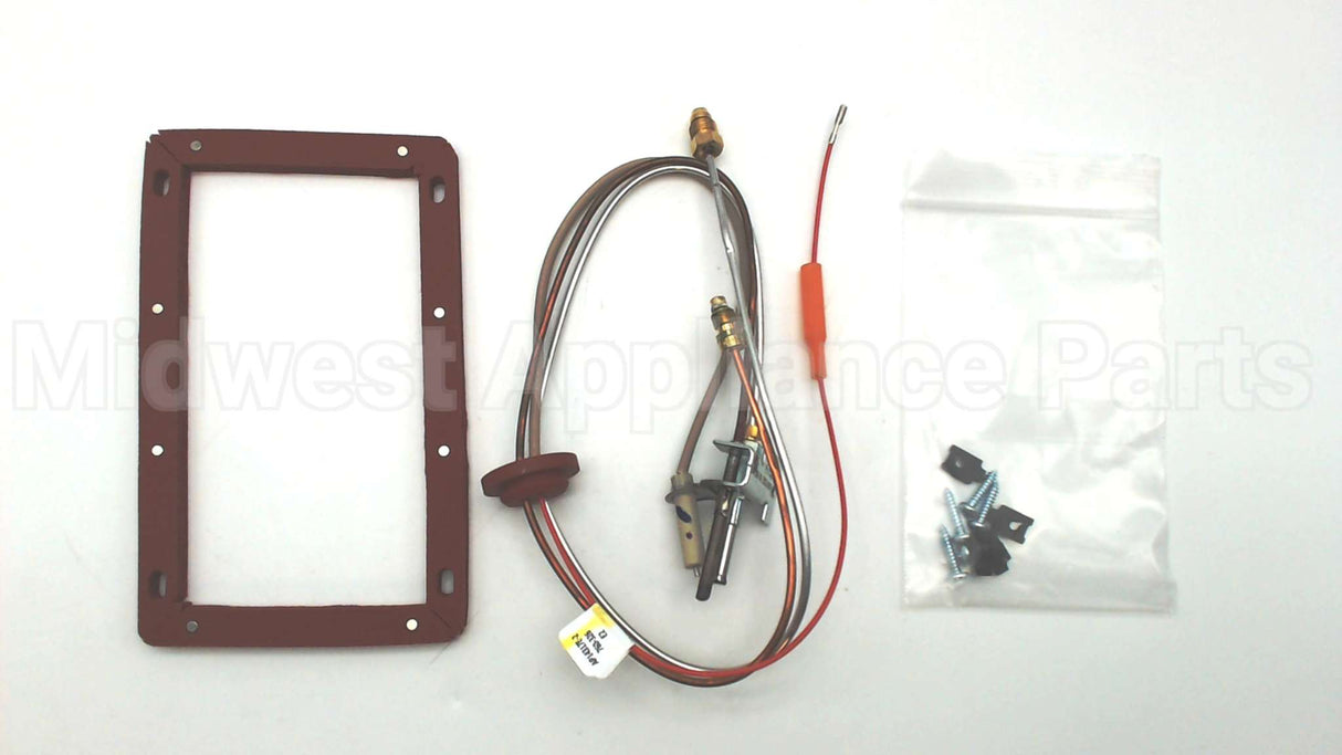 SP20127 Rheem-Ruud Ng Pilot Assembly