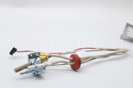 SP20799 Rheem-Ruud Pilot Assembly