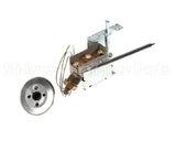 SP8260 Rheem-Ruud Immersion Thermostat
