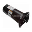 SQ1102 Century Pool And Spa Pump Motor