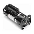 SQS1202R Century Pool And Spa Pump Motor