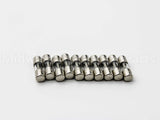 SR6A-001RP Taco 6Amp Fuse 10 Pack