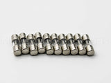 SR6A-001RP Taco 6Amp Fuse 10 Pack