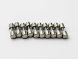 SR6A-001RP Taco 6Amp Fuse 10 Pack