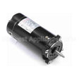 ST1102 Century Pool And Spa Pump Motor