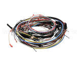 ST400021 Cleveland Service Wiring Harness Tket12T