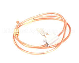 TT-33261 Alto Shaam I,Thermocouples,Ct,Interrupt