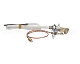 U00677 Globe Pilot Assembly
