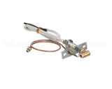 U00677 Globe Pilot Assembly