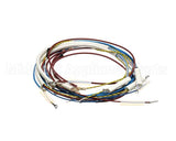 U00700 Globe Wiring Kit