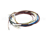U00700 Globe Wiring Kit