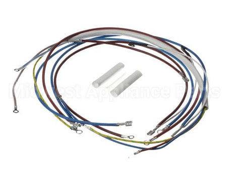 U00813 Globe Wiring Kit