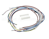 U00813 Globe Wiring Kit