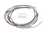 U00813 Globe Wiring Kit