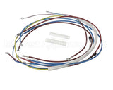 U00813 Globe Wiring Kit