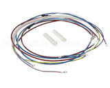 U00813 Globe Wiring Kit