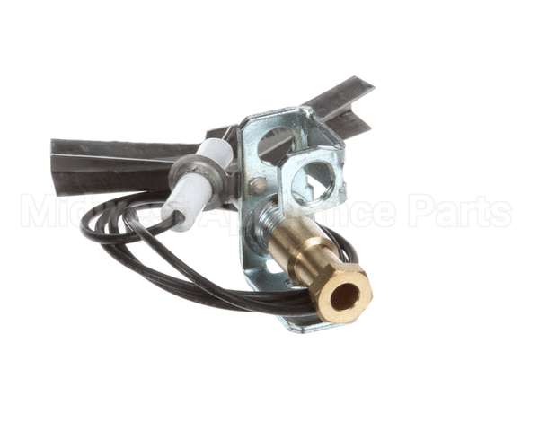 U01211069001 Globe Ods Flame Protection Ng