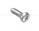U01217 Globe Screw