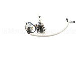 U01782 Globe Timer Assembly (120V)