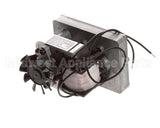 U03011200001 Globe Motor