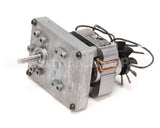 U03011200004 Globe Motor