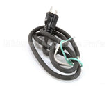 U03021205012 Globe Plug & Lead