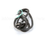 U03021205012 Globe Plug & Lead