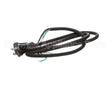 U03021205013 Globe Plug & Lead - 240V