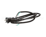 U03021205013 Globe Plug & Lead - 240V