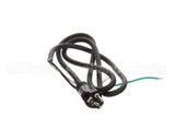 U03021205013 Globe Plug & Lead - 240V