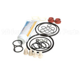 US193-024876 Carpigiani Tune Up Kit Minor Uf253/203P