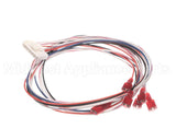 V59310 Aaon Ignition Control Wire Harness