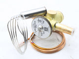 VAL10589 Trane Valve