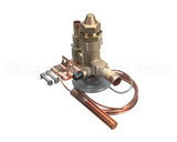 VAL9069 Trane 300Psi Relief Valve