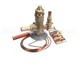 VAL9069 Trane 300Psi Relief Valve