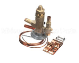 VAL9069 Trane 300Psi Relief Valve