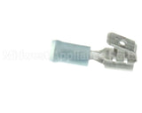 W0570400 Grindmaster Cecilware Term, Piggyback Faston Blue