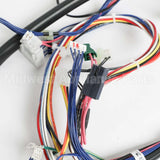 W10298333 Whirlpool Harns-Wire