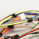 W10307145 Whirlpool Harns-Wire