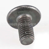 W10319189 Whirlpool Screw