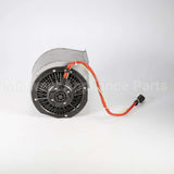 W10382894 Whirlpool Motor-Fan