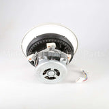 W10428775 Whirlpool Pump & Motor