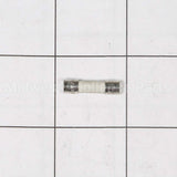 W10487251 Whirlpool Fuse